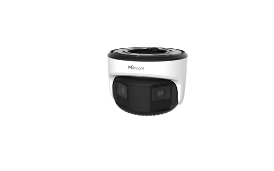 AI TrueColor Dual-sensor 180° Panoramic myndavél