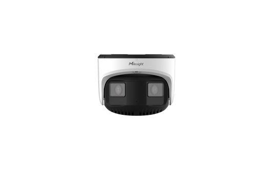 AI TrueColor Dual-sensor 180° Panoramic myndavél